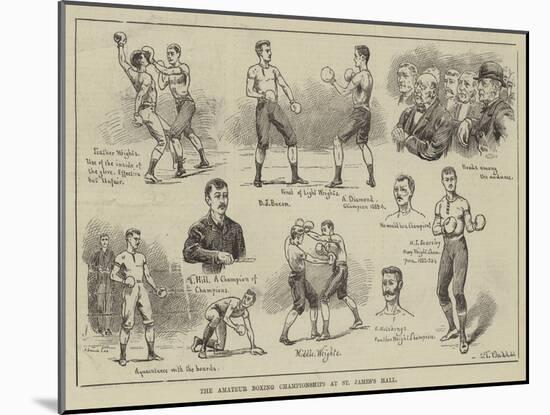 The Amateur Boxing Championships at St James's Hall-S.t. Dadd-Mounted Giclee Print