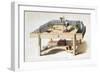 The Amateur Chemist's Laboratory Bench, 1860-M & N Hanhart-Framed Giclee Print