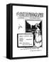 The Amateur Photographer Illustrated Advertisement-null-Framed Stretched Canvas