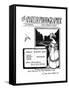 The Amateur Photographer Illustrated Advertisement-null-Framed Stretched Canvas