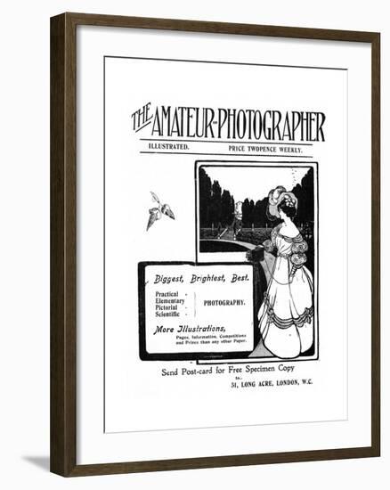 The Amateur Photographer Illustrated Advertisement-null-Framed Giclee Print