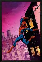The Amazing Spider-Man No.517 Cover: Spider-Man-Gary Frank-Lamina Framed Poster