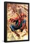 The Amazing Spider-Man No.549 Cover: Spider-Man-Salvador Larroca-Framed Poster