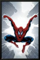 The Amazing Spider-Man No.552 Cover: Spider-Man-Phil Jimenez-Lamina Framed Poster
