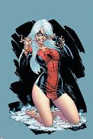 The Amazing Spider-Man No.607 Cover: Black Cat-J. Scott Campbell-Lamina Framed Poster