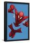 The Amazing Spider-Man No.679.1 Cover: Spider-Man-John Tyler Christopher-Framed Poster