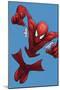 The Amazing Spider-Man No.679.1 Cover: Spider-Man-John Tyler Christopher-Mounted Poster