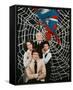 The Amazing Spider-Man-null-Framed Stretched Canvas