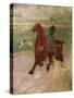 The Amazon, 1882-Henri de Toulouse-Lautrec-Stretched Canvas