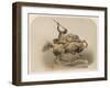 The Amazon, a Sculpture by Kiss Berlin of an Amazon Woman Spearing a Li-null-Framed Art Print