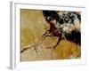 The Amazon River in Northern Brazil-Stocktrek Images-Framed Photographic Print