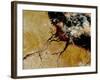 The Amazon River in Northern Brazil-Stocktrek Images-Framed Photographic Print