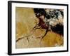 The Amazon River in Northern Brazil-Stocktrek Images-Framed Photographic Print