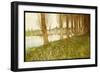 The Amber Vale, a Host of Golden Daffodils-John George Sowerby-Framed Giclee Print