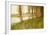 The Amber Vale, a Host of Golden Daffodils-John George Sowerby-Framed Giclee Print