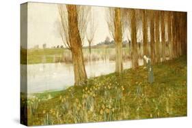 The Amber Vale, a Host of Golden Daffodils-John George Sowerby-Stretched Canvas