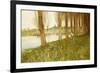 The Amber Vale, a Host of Golden Daffodils-John George Sowerby-Framed Giclee Print