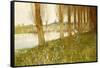 The Amber Vale, a Host of Golden Daffodils-John George Sowerby-Framed Stretched Canvas