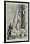 The America Cup, Aboard the Columbia, Hoisting the Club-Topsail-T. Dart Walker-Framed Giclee Print