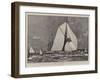 The America Cup Challenger on Her Trials, the Shamrock Off Cowes-Charles Edward Dixon-Framed Giclee Print