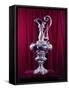 The America's Cup Yachting Trophy in the New York Yacht Club's Trophy Room-Dmitri Kessel-Framed Stretched Canvas