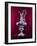 The America's Cup Yachting Trophy in the New York Yacht Club's Trophy Room-Dmitri Kessel-Framed Photographic Print