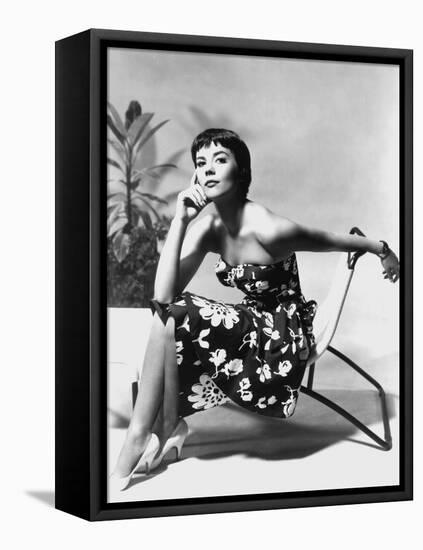 The American Actress Natalie Wood (1938-1981) C. 1956-null-Framed Stretched Canvas