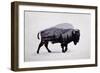 The American Bison-Davies Babies-Framed Premium Giclee Print