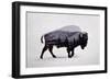 The American Bison-Davies Babies-Framed Premium Giclee Print