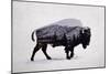 The American Bison-Davies Babies-Mounted Premium Giclee Print