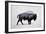 The American Bison-Davies Babies-Framed Art Print