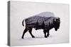 The American Bison-Davies Babies-Stretched Canvas