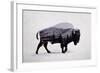 The American Bison-Davies Babies-Framed Art Print