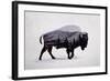 The American Bison-Davies Babies-Framed Art Print