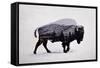 The American Bison-Davies Babies-Framed Stretched Canvas