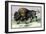 The American Bison-John Stewart-Framed Art Print