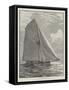 The American Champion Yacht Puritan-null-Framed Stretched Canvas