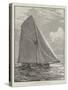 The American Champion Yacht Puritan-null-Stretched Canvas