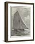 The American Champion Yacht Puritan-null-Framed Giclee Print