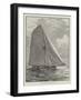 The American Champion Yacht Puritan-null-Framed Giclee Print