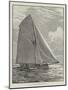 The American Champion Yacht Puritan-null-Mounted Giclee Print