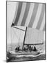 The American Eagle During America's Cup Race-George Silk-Mounted Photographic Print