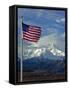 The American Flag waves at Mt. McKinley, North America.-Jerry Ginsberg-Framed Stretched Canvas