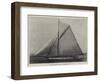 The American Yacht Defender-null-Framed Giclee Print