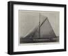 The American Yacht Defender-null-Framed Giclee Print