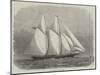 The American Yacht Sappho-Edwin Weedon-Mounted Giclee Print