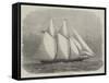 The American Yacht Sappho-Edwin Weedon-Framed Stretched Canvas