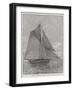 The American Yacht Volunteer, Built to Compete with the Thistle for the America Cup-null-Framed Giclee Print