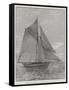 The American Yacht Volunteer, Built to Compete with the Thistle for the America Cup-null-Framed Stretched Canvas