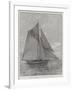 The American Yacht Volunteer, Built to Compete with the Thistle for the America Cup-null-Framed Giclee Print